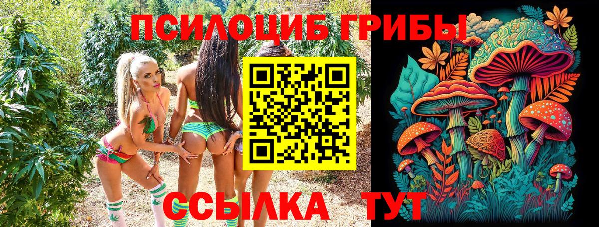 Псилоцибиновые грибы Cubensis Мариинск